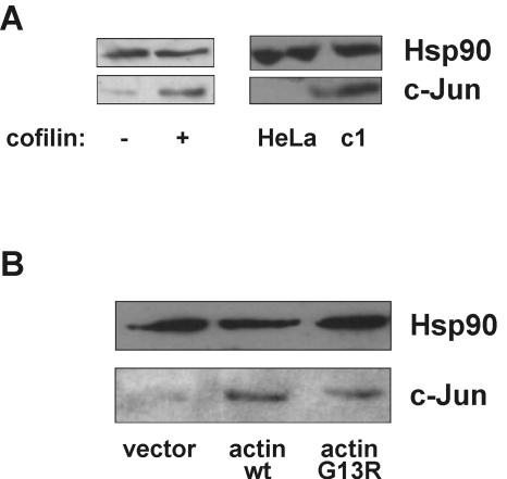 FIG. 10.