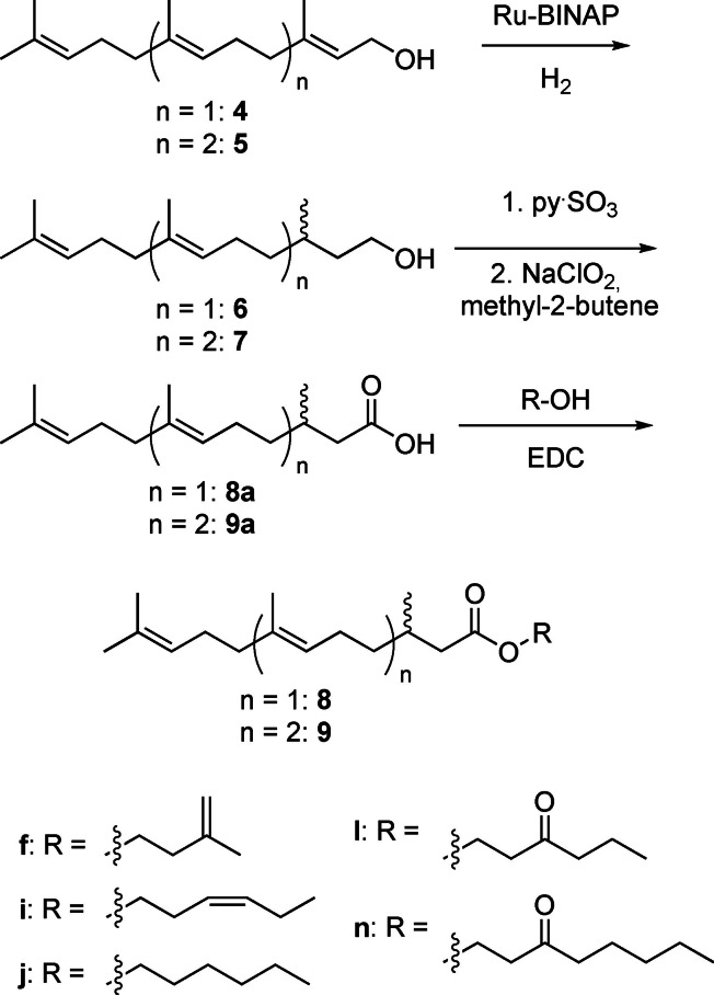 Scheme 1