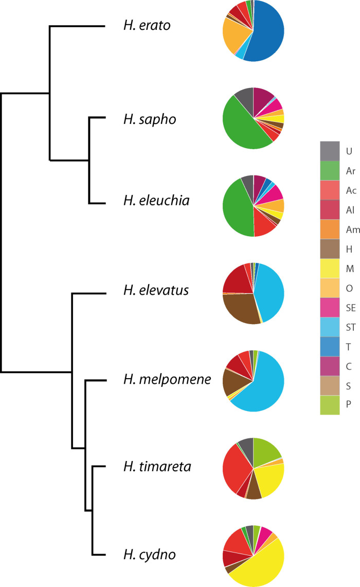 Figure 13