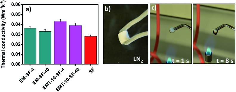 Fig. 10