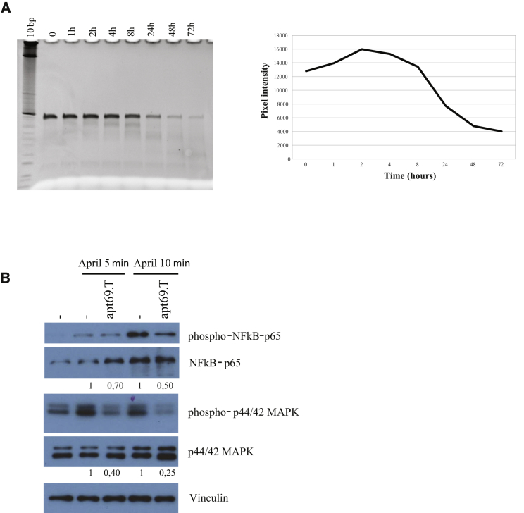 Figure 3