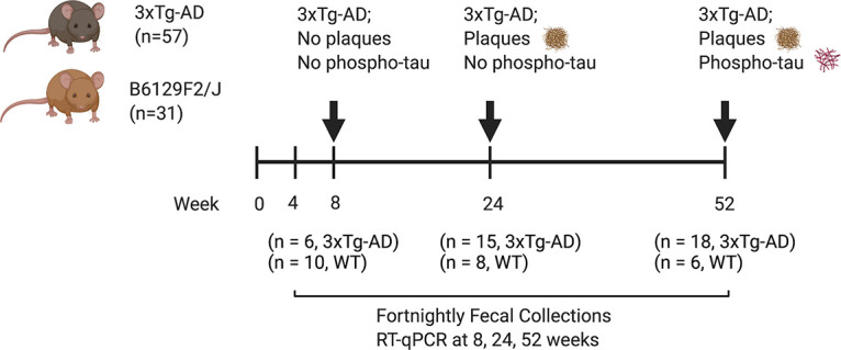 FIG 1