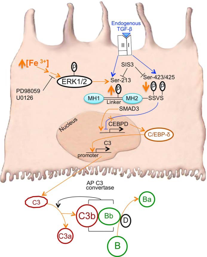 FIGURE 11.