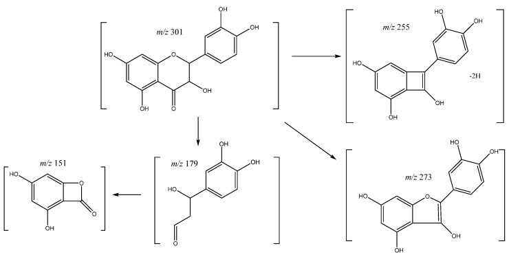 Figure 11