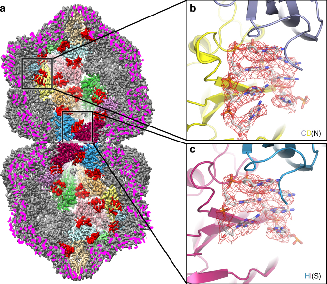 Fig. 4