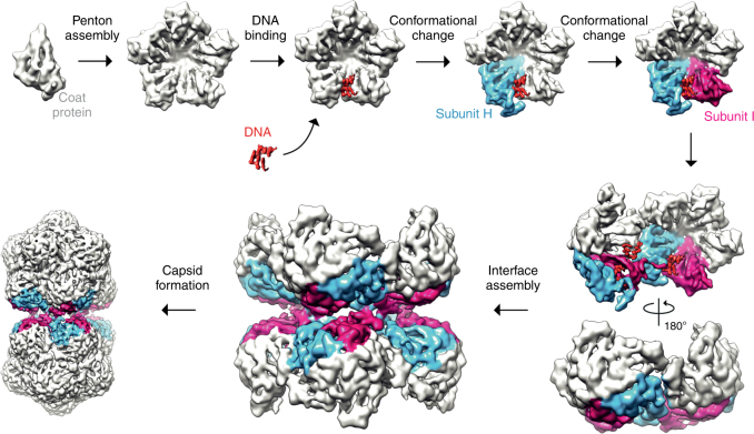 Fig. 6