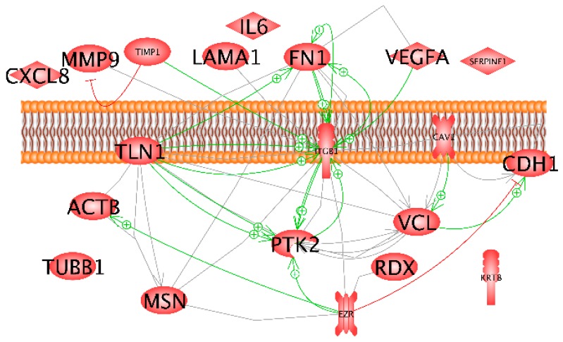 Figure 9