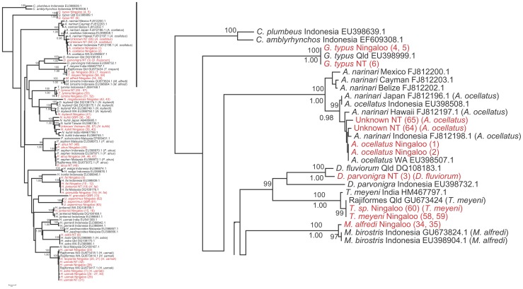 Figure 1