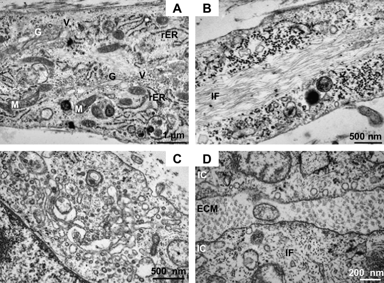 Fig. 6