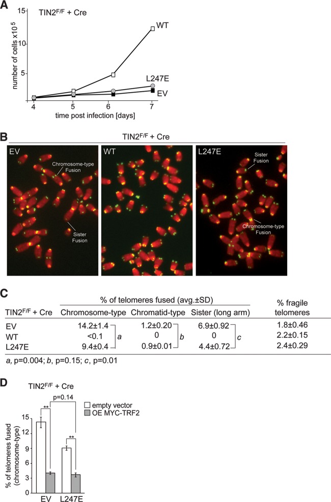 FIG 6