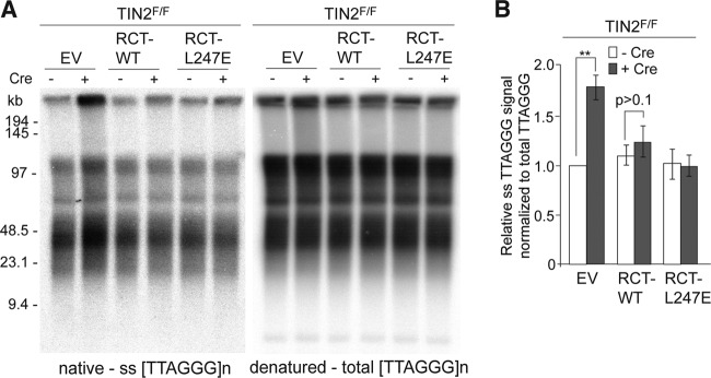 FIG 11