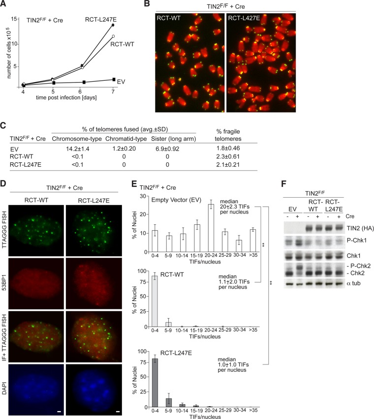 FIG 10