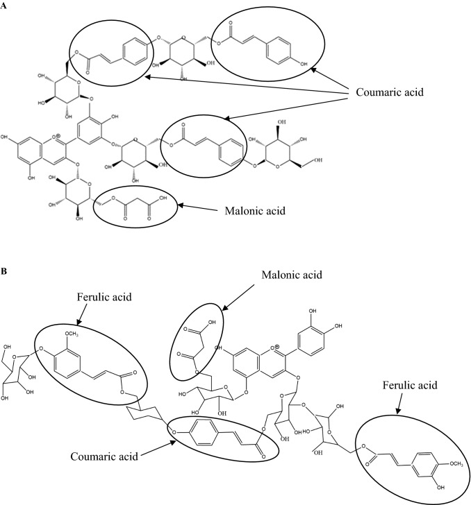 Fig. 5