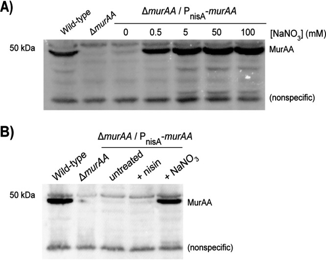 FIG 3