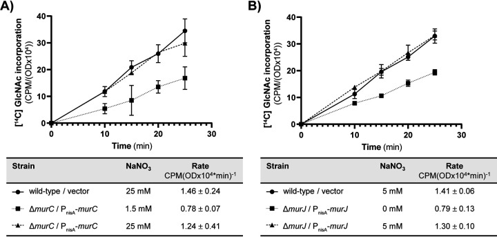 FIG 6