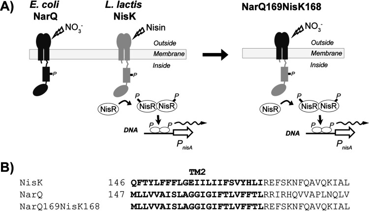 FIG 2