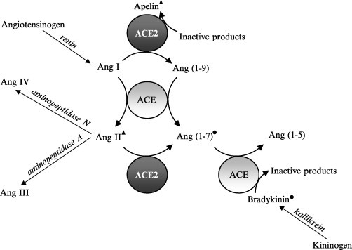 FIG. 1