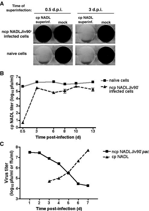 FIG. 3.