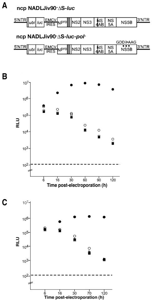 FIG. 6.