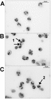 FIG. 3.