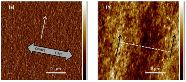 Figure 21