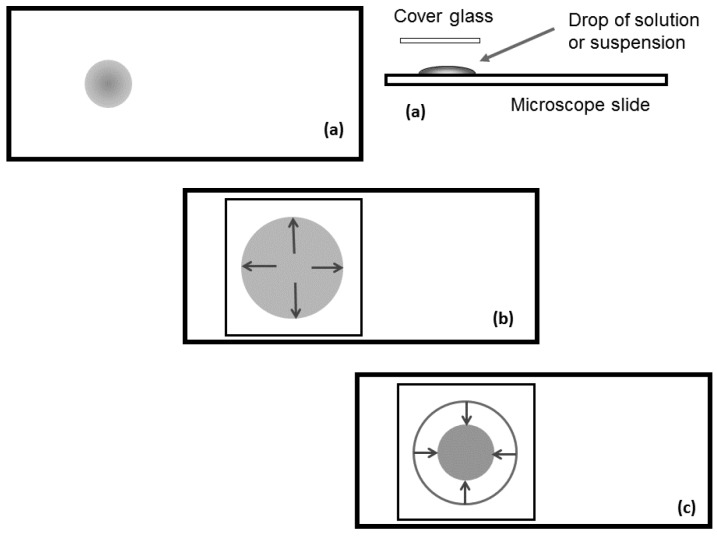 Figure 8