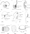 Figure 2.