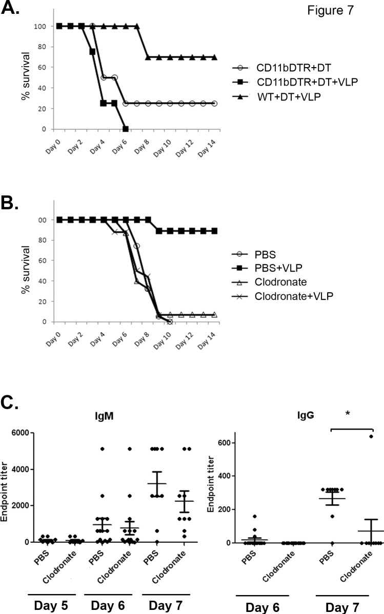 Fig 7