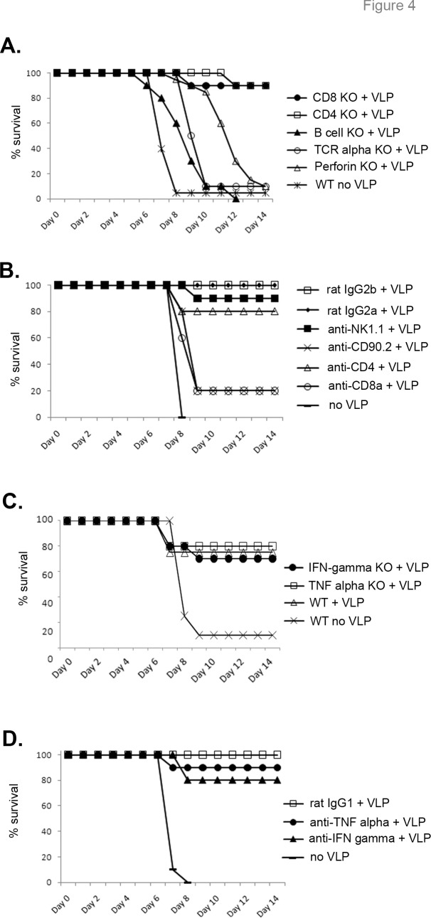 Fig 4