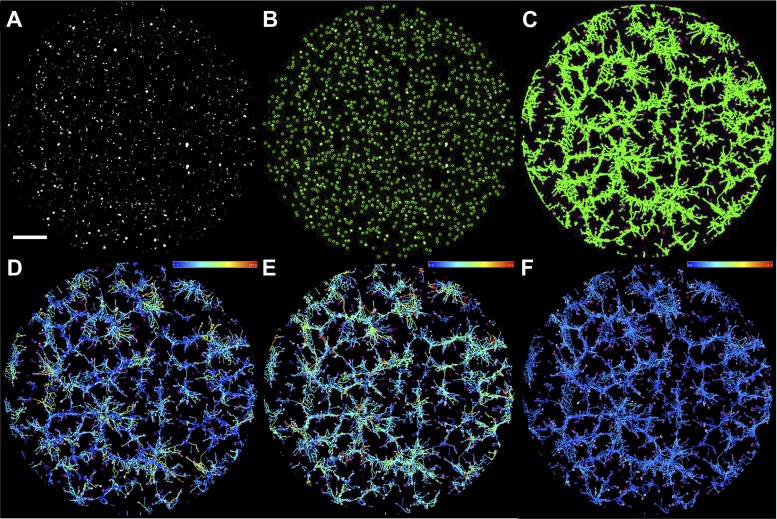 Fig. 4.