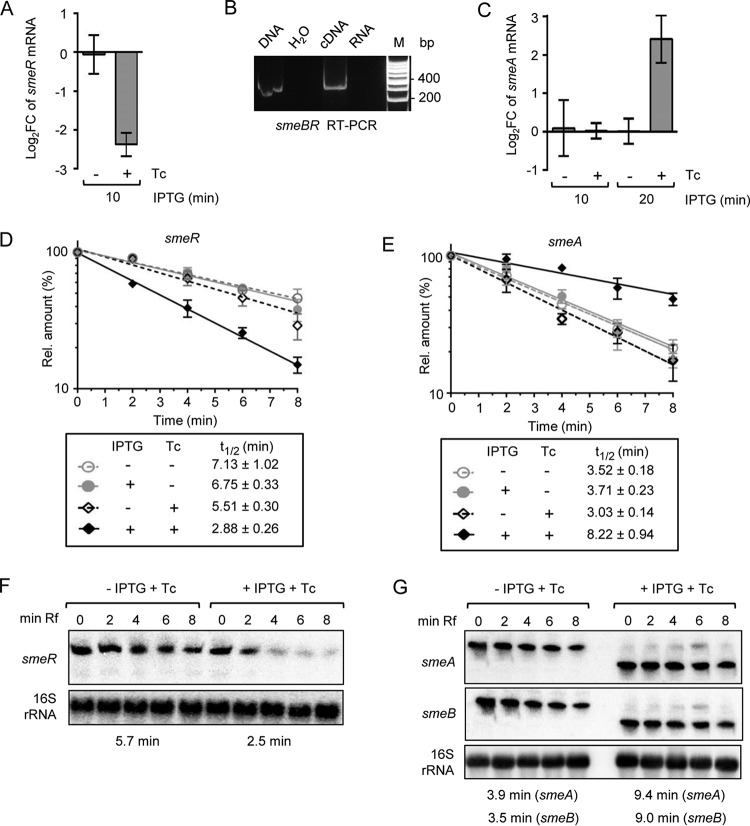 FIG 3