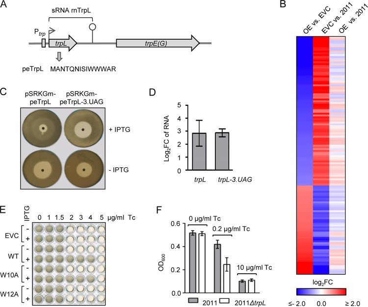 FIG 1