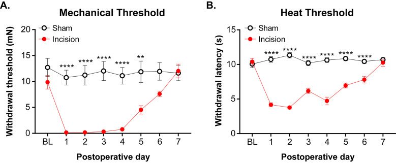 Figure 10.