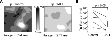 Fig. 6.