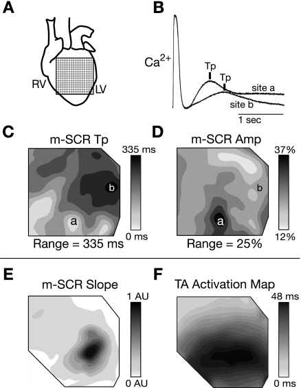 Fig. 4.