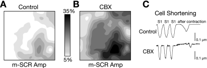 Fig. 8.