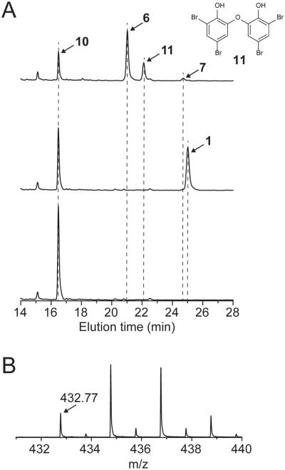 Figure 5