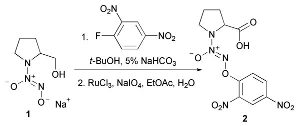 Scheme 4