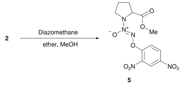 Scheme 3