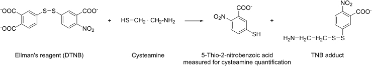 Fig. 8