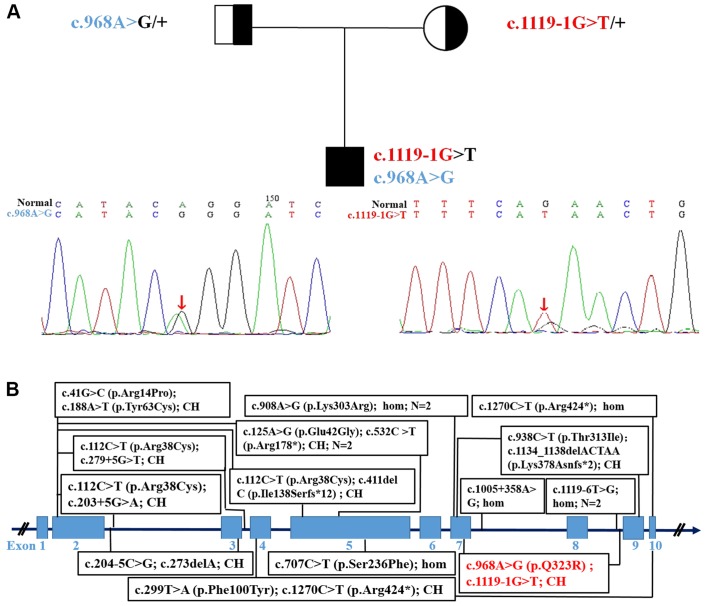 Figure 2.