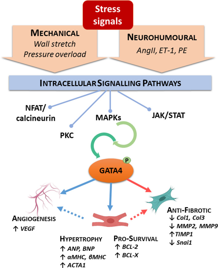 FIGURE 11