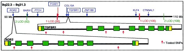 Figure  4