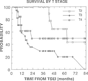 Fig. 22