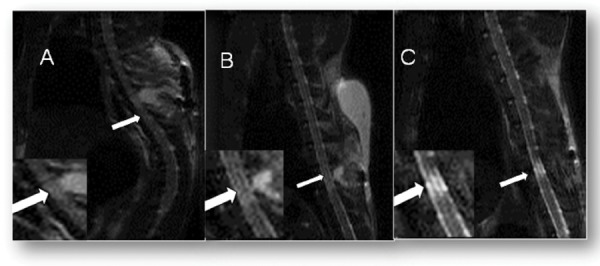 Fig. 7: