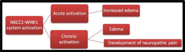 Fig. 1: