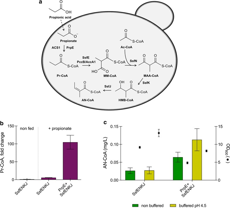 Fig. 2