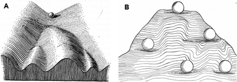 Fig. 3.