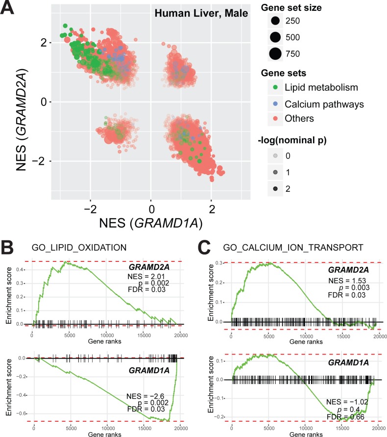 Figure 3—figure supplement 1.