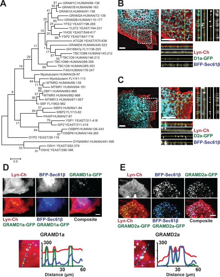 Figure 1—figure supplement 1.